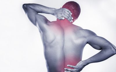 Professionnels : comment eviter les troubles musculo-squelettiques ?